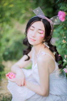 风雨送春归